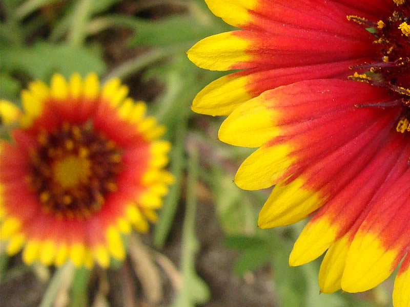 http://kgb7.com/k_blog2/images/090609p1_005.jpg