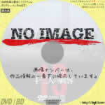 十三人の刺客　(2010)