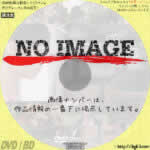 ミツコ感覚　(2011)