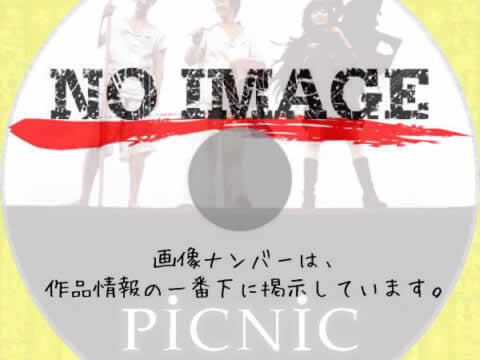 PICNIC　(1996)