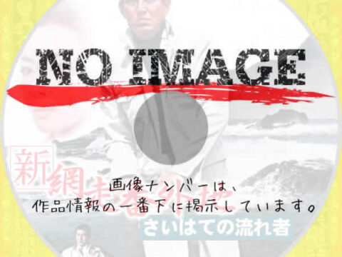 新網走番外地 さいはての流れ者 (1969) 新網走番外地 さいはての流れ者 (1969)