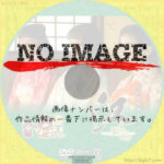 NHK大河ドラマ 江 -姫たちの戦国-　(2011)