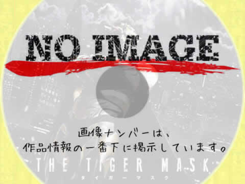 THE TIGER MASK　(2013)