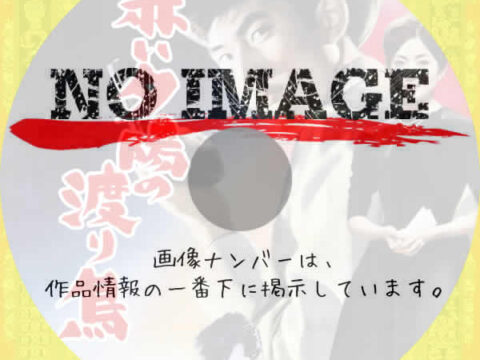 赤い夕陽の渡り鳥　(1960)