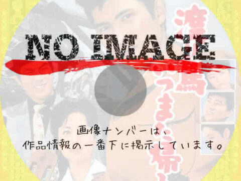 渡り鳥いつまた帰る　(1960)