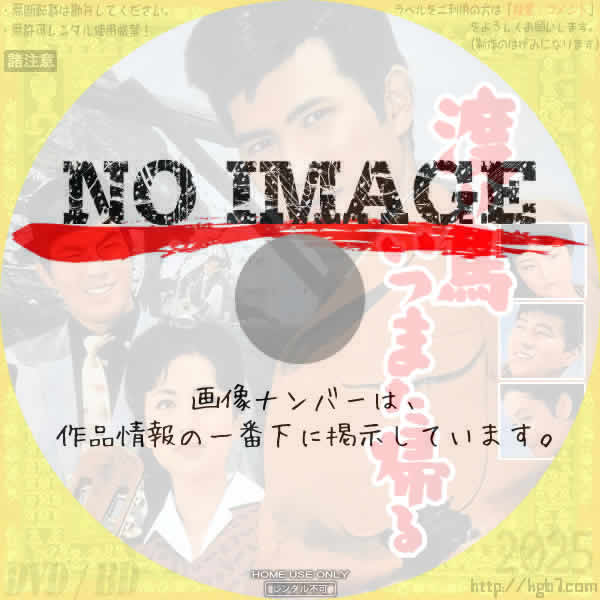 渡り鳥いつまた帰る　(1960)