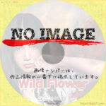 Wild Flower　(青春H)(2012)