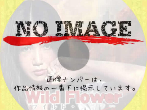 Wild Flower　(青春H)(2012)