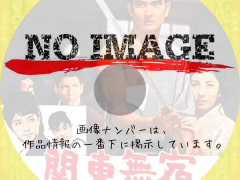 関東無宿　(1963)