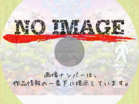 新日本風土記 (汎用01)(BD) 新日本風土記 (汎用01)(BD)