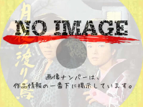 月夜の渡り鳥　(1963)