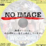 レッスルマニア27　(2011)