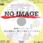 テレビ千鳥 vol.1