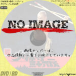 続・少林寺三十六房　(1980)