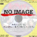 暴れん坊将軍Ⅴスペシャル　おんな盗賊の恋、吉宗にしかけられた天下の大陰謀　(1993)