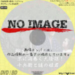 柳生武芸帳　京に渦巻く大陰謀！十兵衛と謎の姫君　(1991)