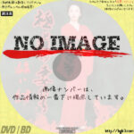 極道の妻たち 赫い絆　(1995)