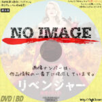 リベンジャー　復讐のドレス　(2015)