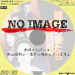 極道の妻たち 危険な賭け　(1996)