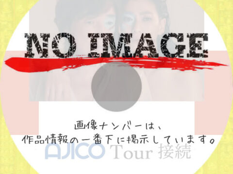 AJICO Tour 接続　(2021)