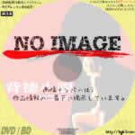 背徳小説　(1994)