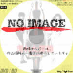 汚れた英雄　(1982)