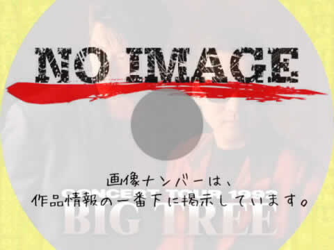 CHAGE and ASKA BIG TREE　(1992)