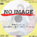 宝塚歌劇団 雪組公演　夢介千両みやげ / Sensational!　(2022)