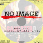 ＧＡＮＧＳＴＥＲ II　東京魔悲夜－外伝　(1997)