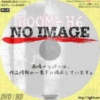 ROOM-H6　(2005)