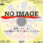 シー・デビルズ・オン・ホイールズ　(1968)