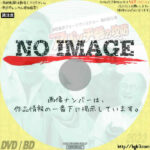 劇団東京ヴォードヴィルショー　第65回公演 アパッチ砦の攻防　(2011)