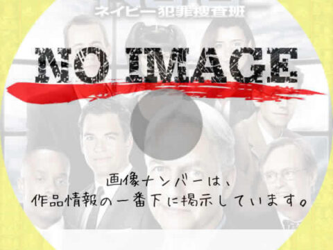 NCIS ～ネイビー犯罪捜査班 シーズン10　(汎用)(2012)