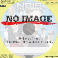 NCIS ～ネイビー犯罪捜査班 シーズン12　(汎用)(2014)