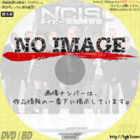 NCIS ～ネイビー犯罪捜査班 シーズン13　(汎用)(2015)