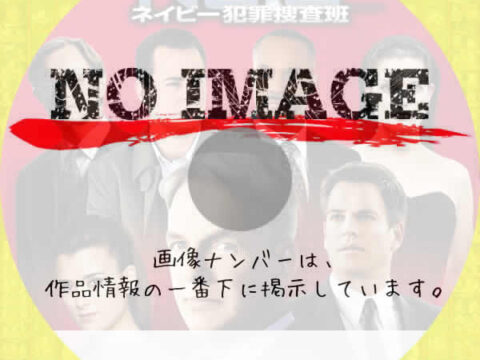 NCIS ～ネイビー犯罪捜査班 シーズン6　(汎用)(2008)