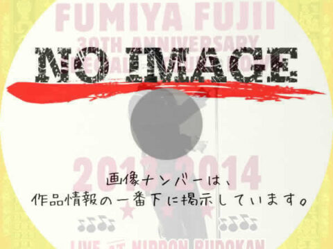 FUMIYA FUJII 30TH ANNIVERSARY SPECIAL COUNT DOWN LIVE 2013-2014 AT NIPPON BUDOKAN