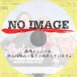 シェイクスピア＆ハサウェイの事件簿 シーズン1　(汎用)(2018)