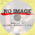 にっぽんGメン 特別武装班出動　(1956)