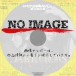 劇団ヘロヘロQカムパニー 第30回公演 DARK CROWS トキノソラ　(2014)