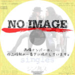 シングルス　(1992)