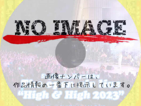 杉山清貴 The open air live “High & High” 2023
