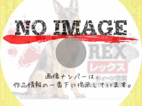 レックス ～ウィーン警察シェパード犬刑事～ シーズン18　(汎用)(2015)