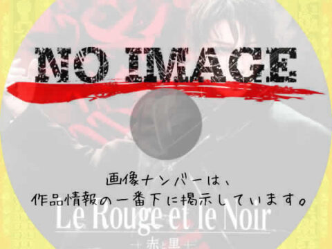 宝塚歌劇団 星組公演　Le Rouge et le Noir　～赤と黒～　(2023)