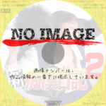 新 痴漢日記 ２　(1999)