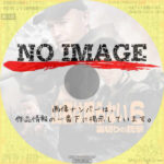 山猫は眠らない6 裏切りの銃撃　(2016)