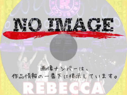 REBECCA LIVE TOUR 2017 at 日本武道館