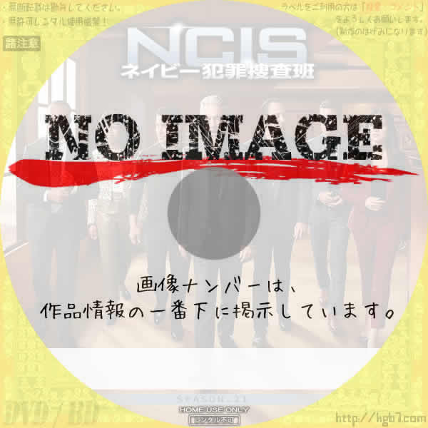 NCIS ～ネイビー犯罪捜査班 シーズン21　(2024)