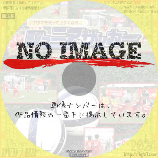 アタマを使って上手くなる! ! ジュニアサッカートレーニング　(2013)