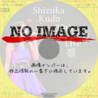 Shizuka Kudo 30th Anniversary Live 凛　(2017)